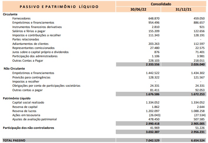 Exemplo do balanço patrimonial da Marcopolo